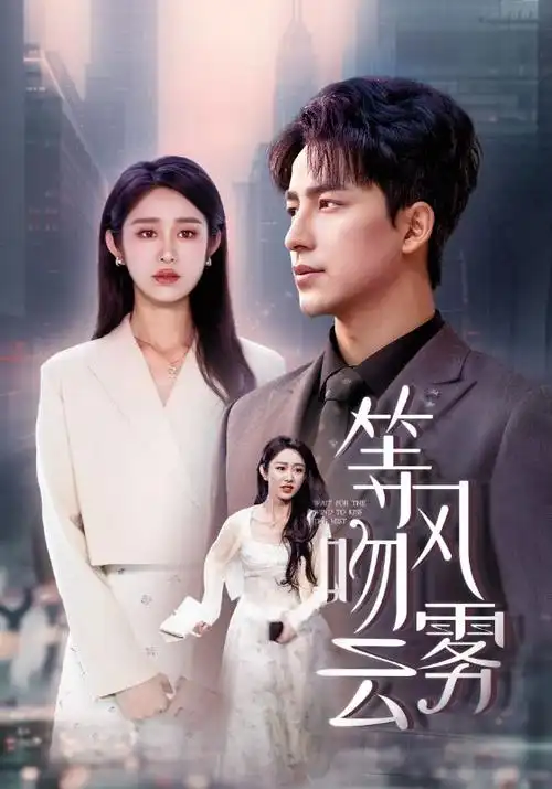 无声证人 悬疑剧全集在线